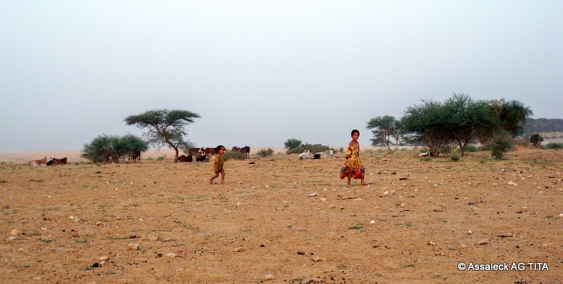 Des enfants nomades d'un campement non loin de Kidal